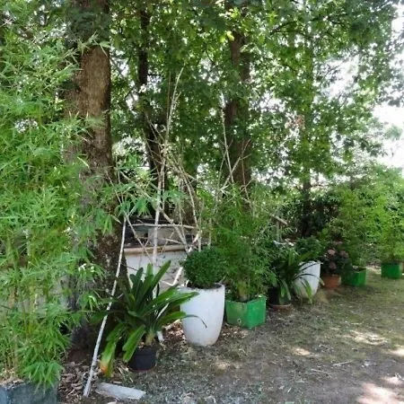 House Le Noisetier 1 *
